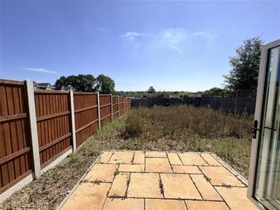 Picture 20